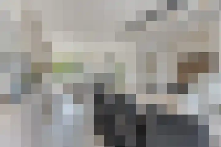 Kogelsmortel 9 Eindhoven thumbnail 7