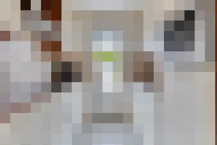 Kogelsmortel 9 Eindhoven thumbnail 8