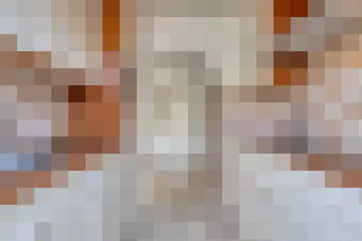 Kogelsmortel 9 Eindhoven thumbnail 9