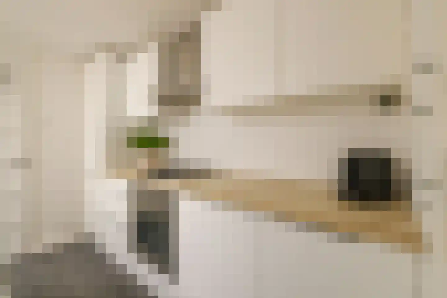 Kogelstraat 14 Haarlem thumbnail 15