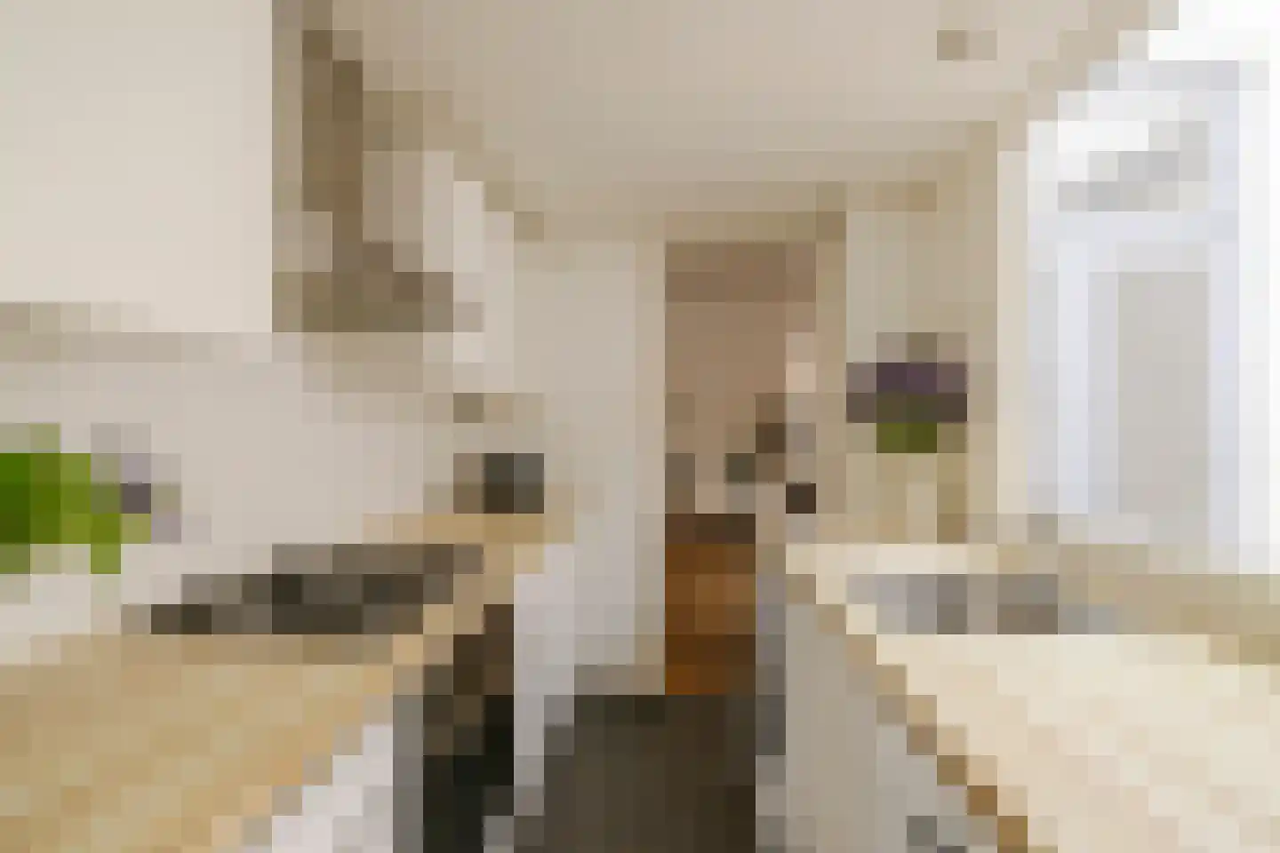 Kogelstraat 14 Haarlem thumbnail 16