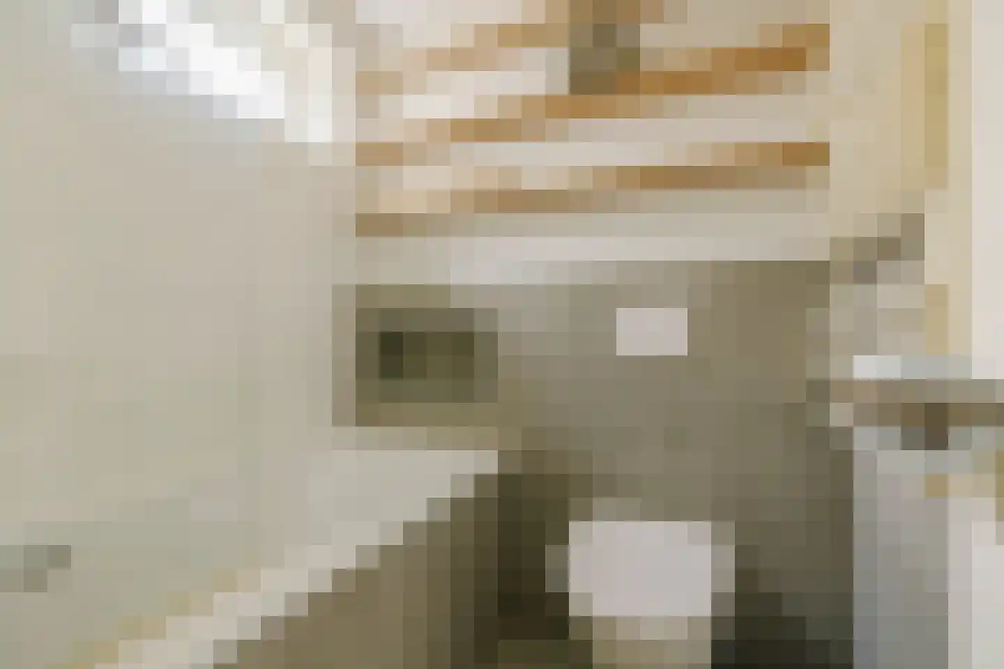 Kogelstraat 14 Haarlem thumbnail 17