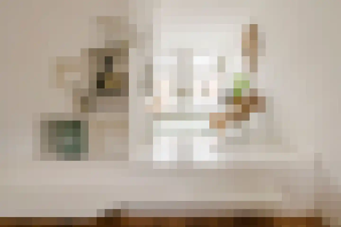 Kogelstraat 14 Haarlem thumbnail 6