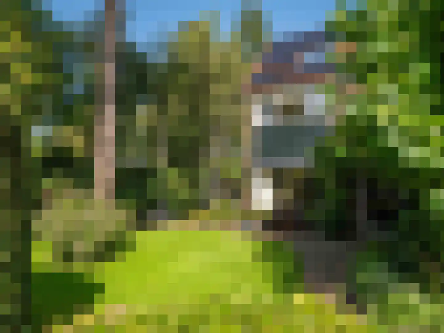 Kogendijk 61 Bergen (NH) thumbnail 38