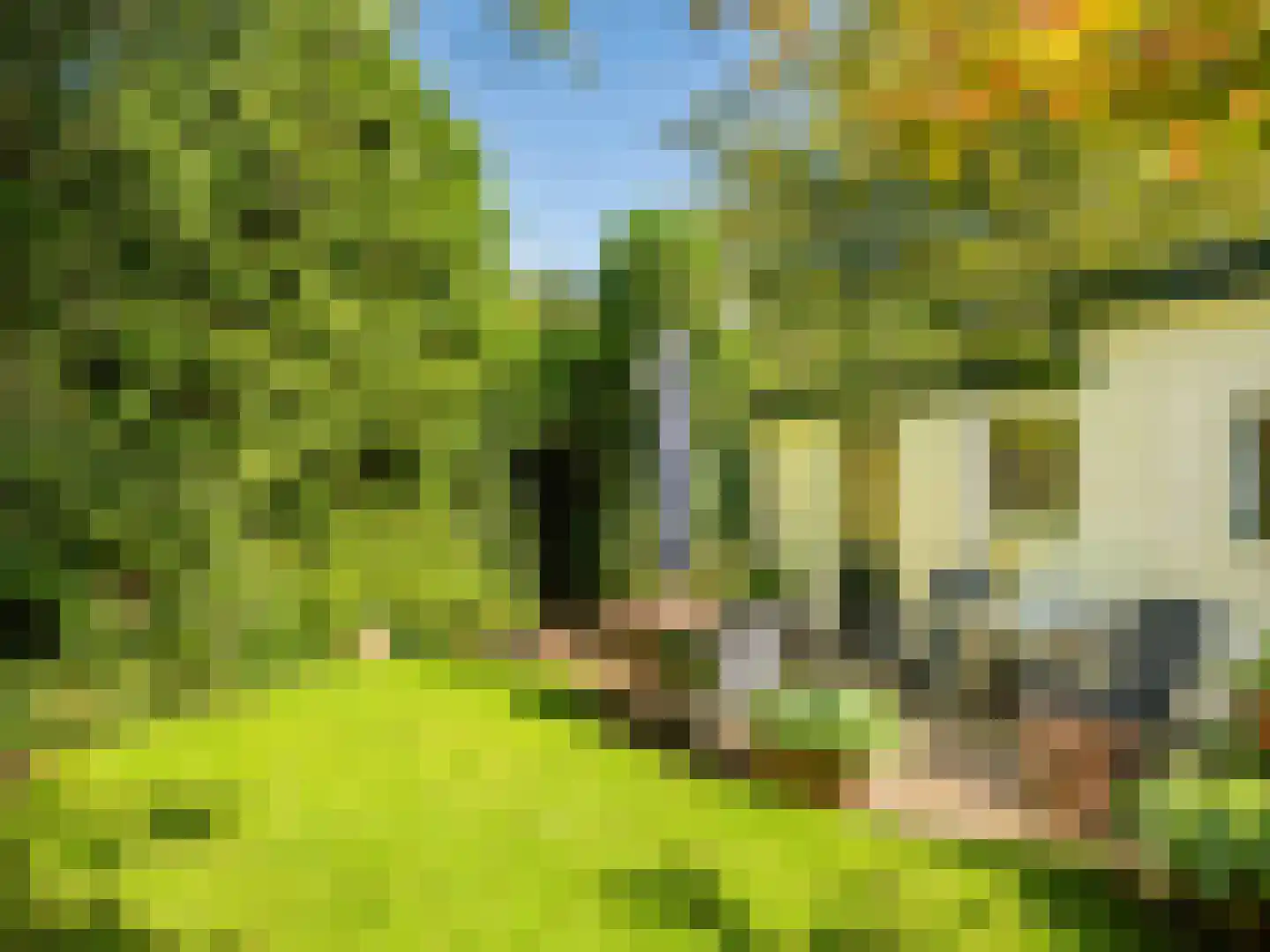 Kogendijk 61 Bergen (NH) thumbnail 5