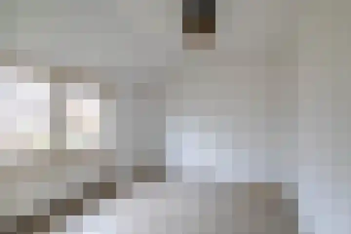 Kogendijk 84 Bergen (NH) thumbnail 14