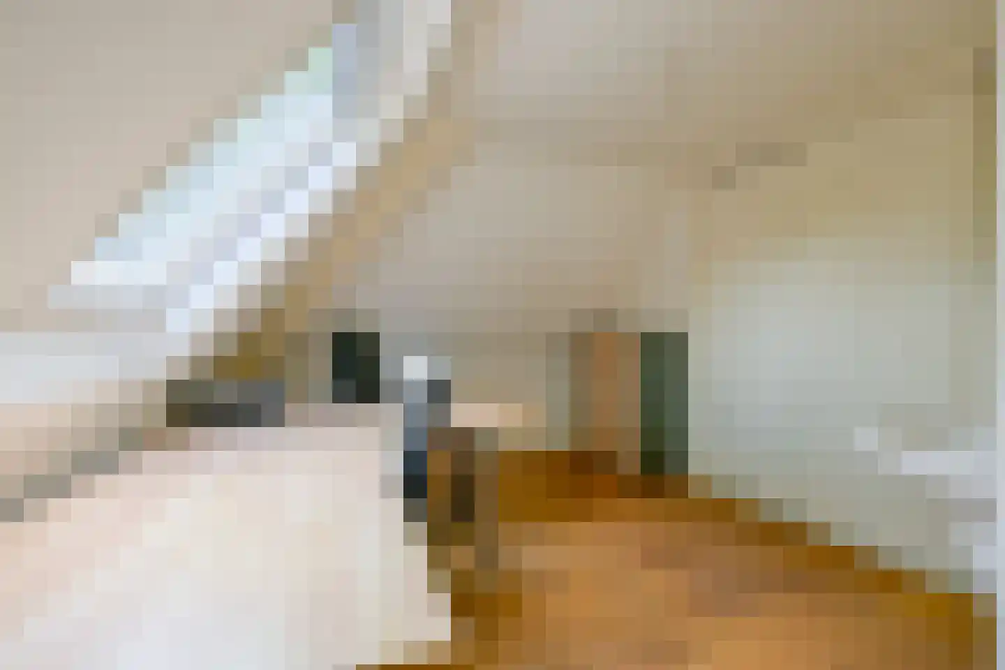 Kogendijk 98 Alkmaar thumbnail 22