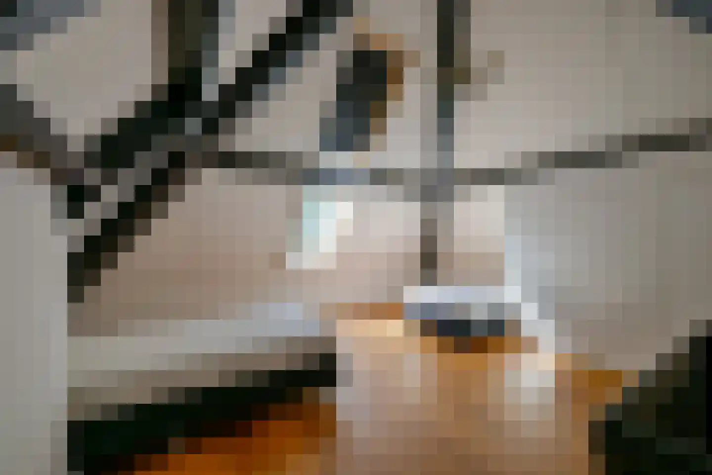Kogendijk 98 Alkmaar thumbnail 28