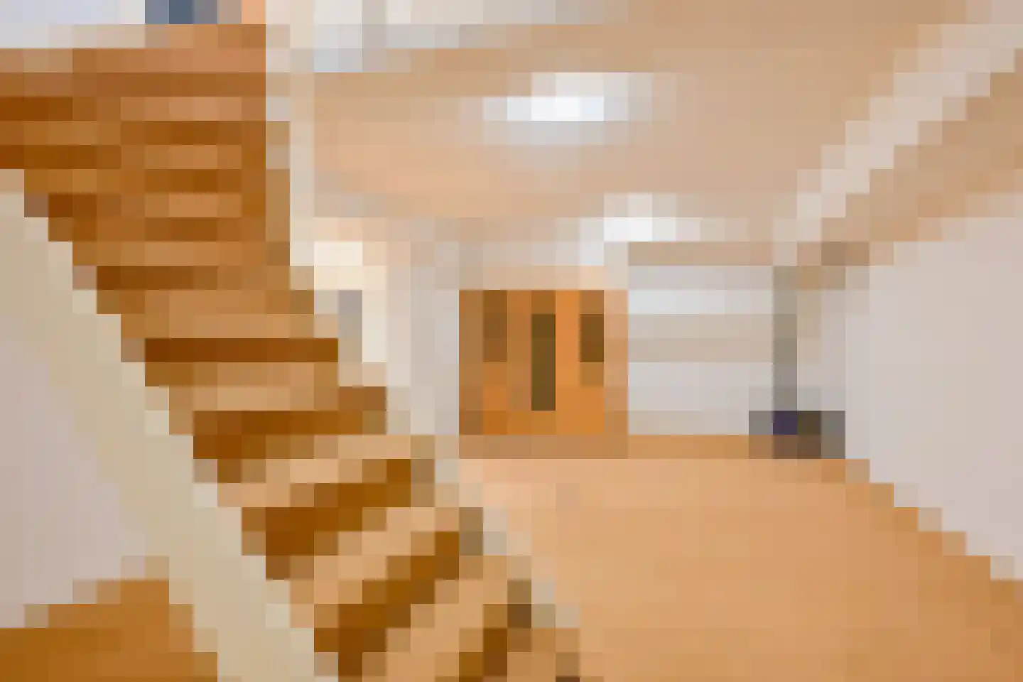 Kogendijk 98 Alkmaar thumbnail 31