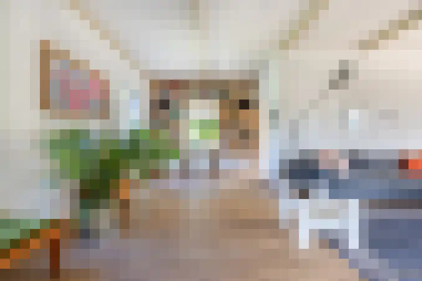 Kogerdijk 2 Purmerend thumbnail 23