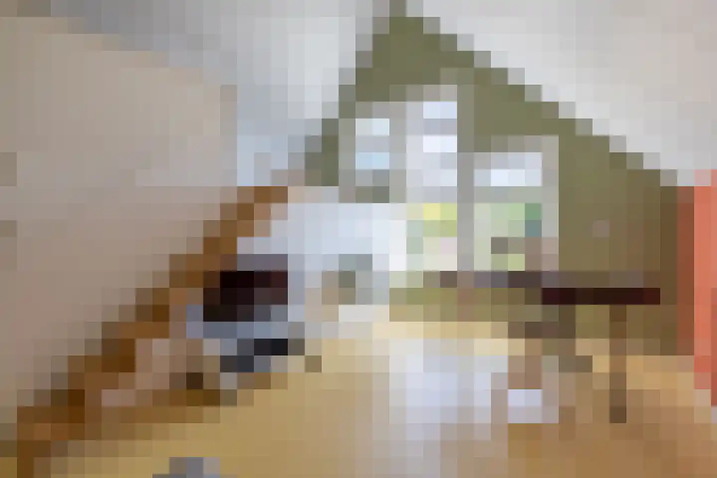 Kogerdijk 2 Purmerend thumbnail 28