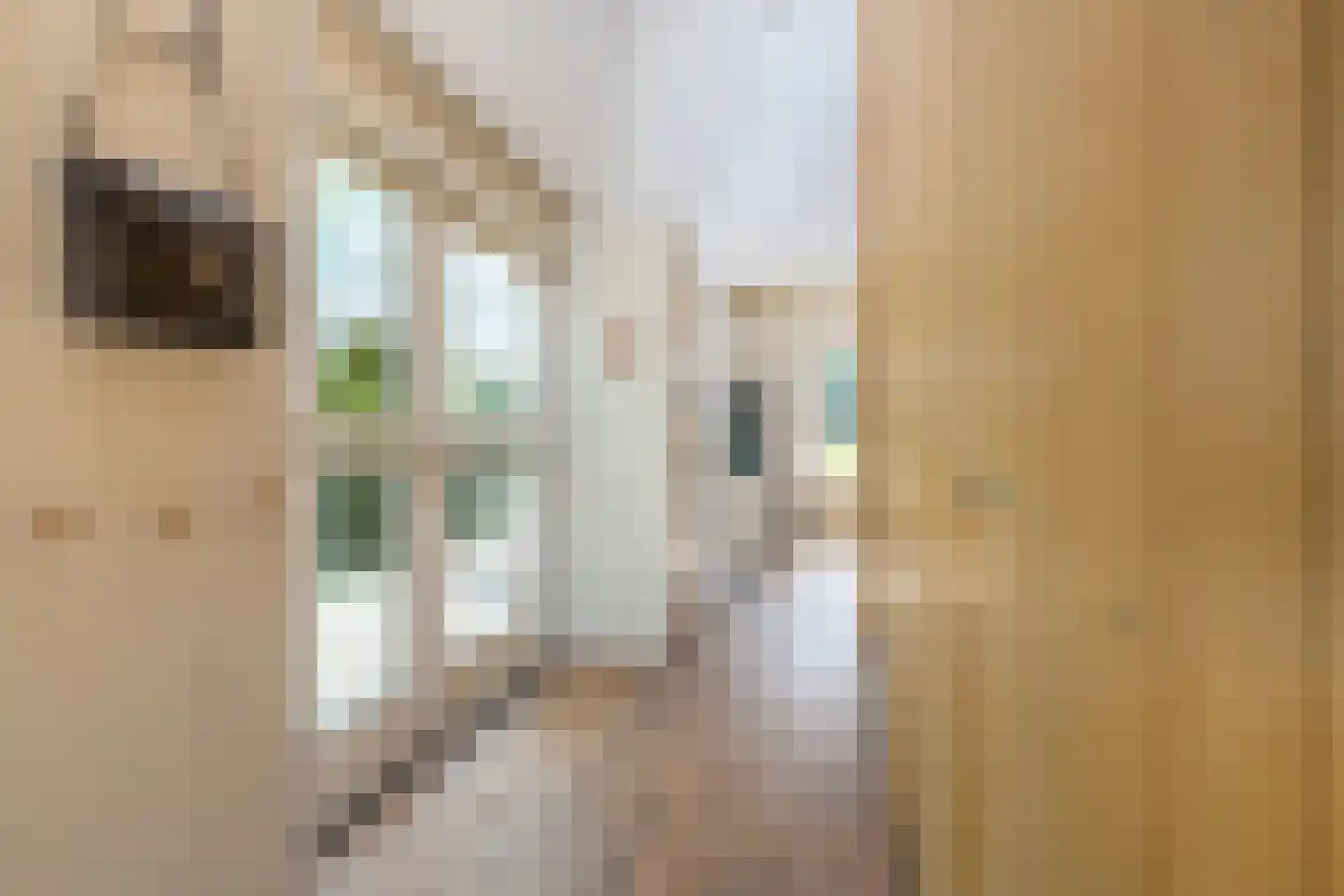 Kogerdijk 2 Purmerend thumbnail 38