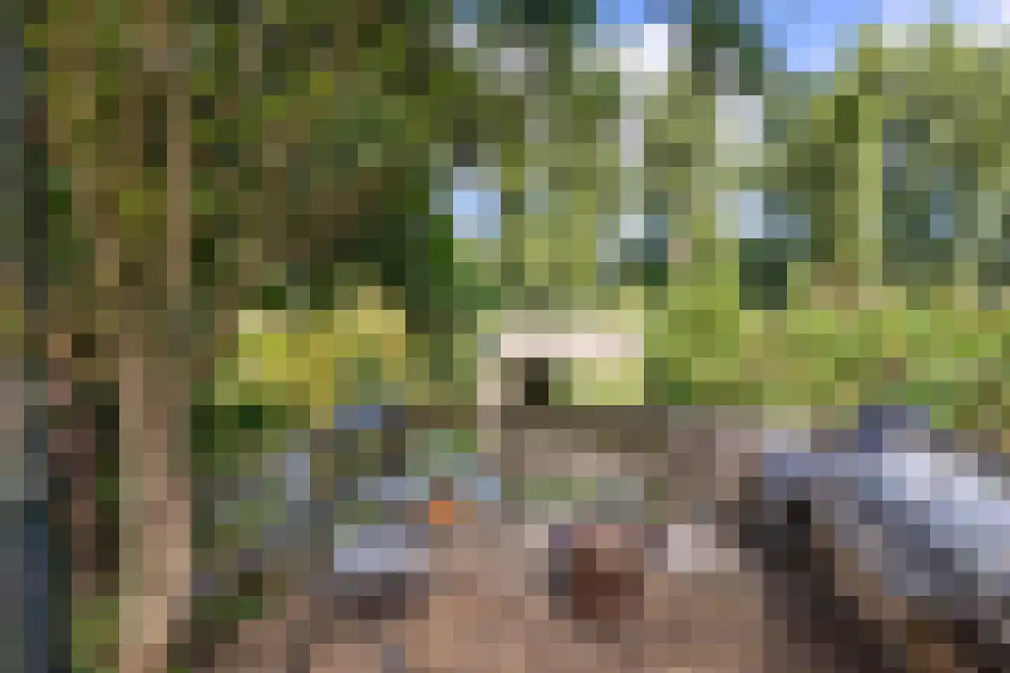 Kogerdijk 2 Purmerend thumbnail 60