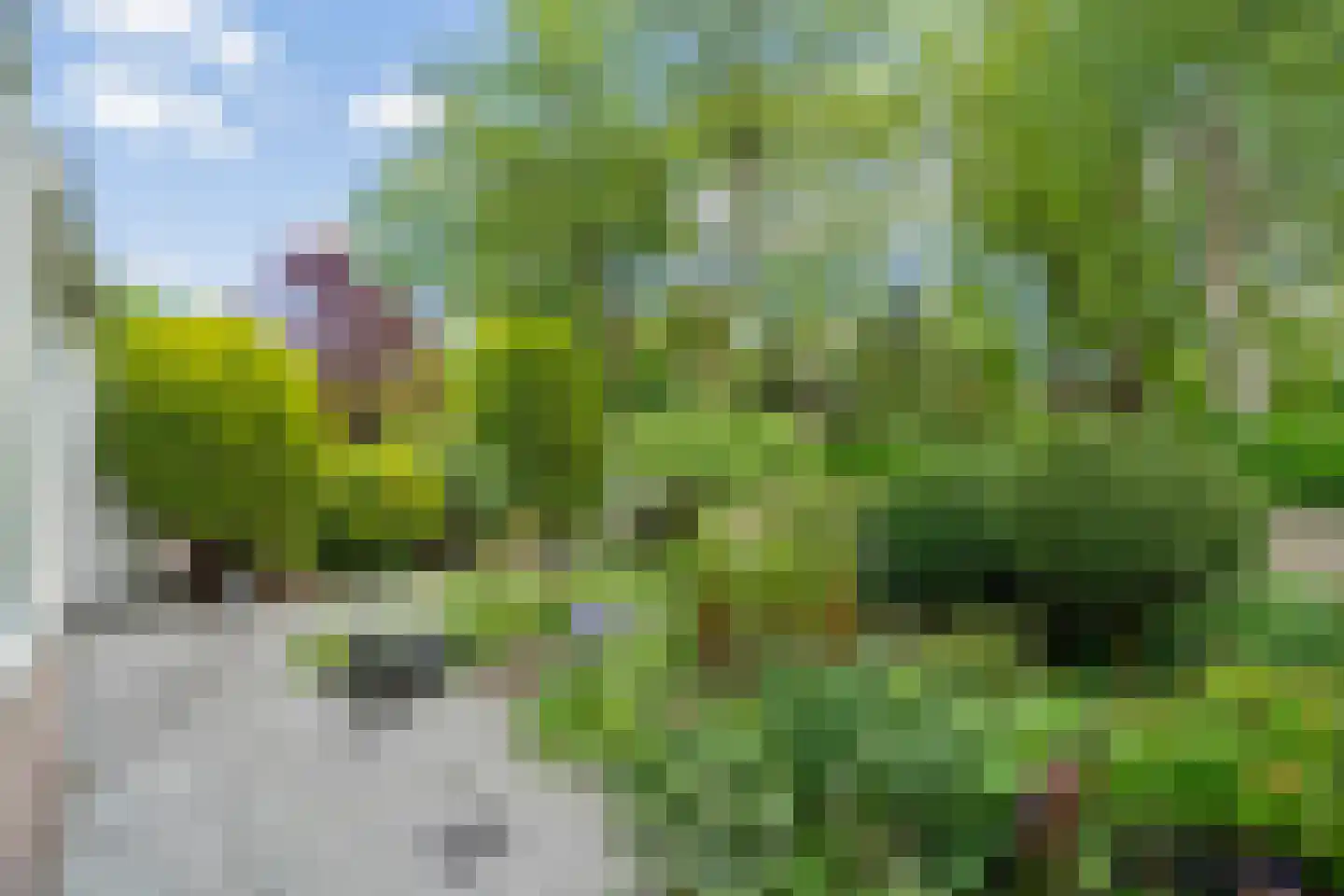 Kogerhout 30 Koog aan de Zaan thumbnail 10
