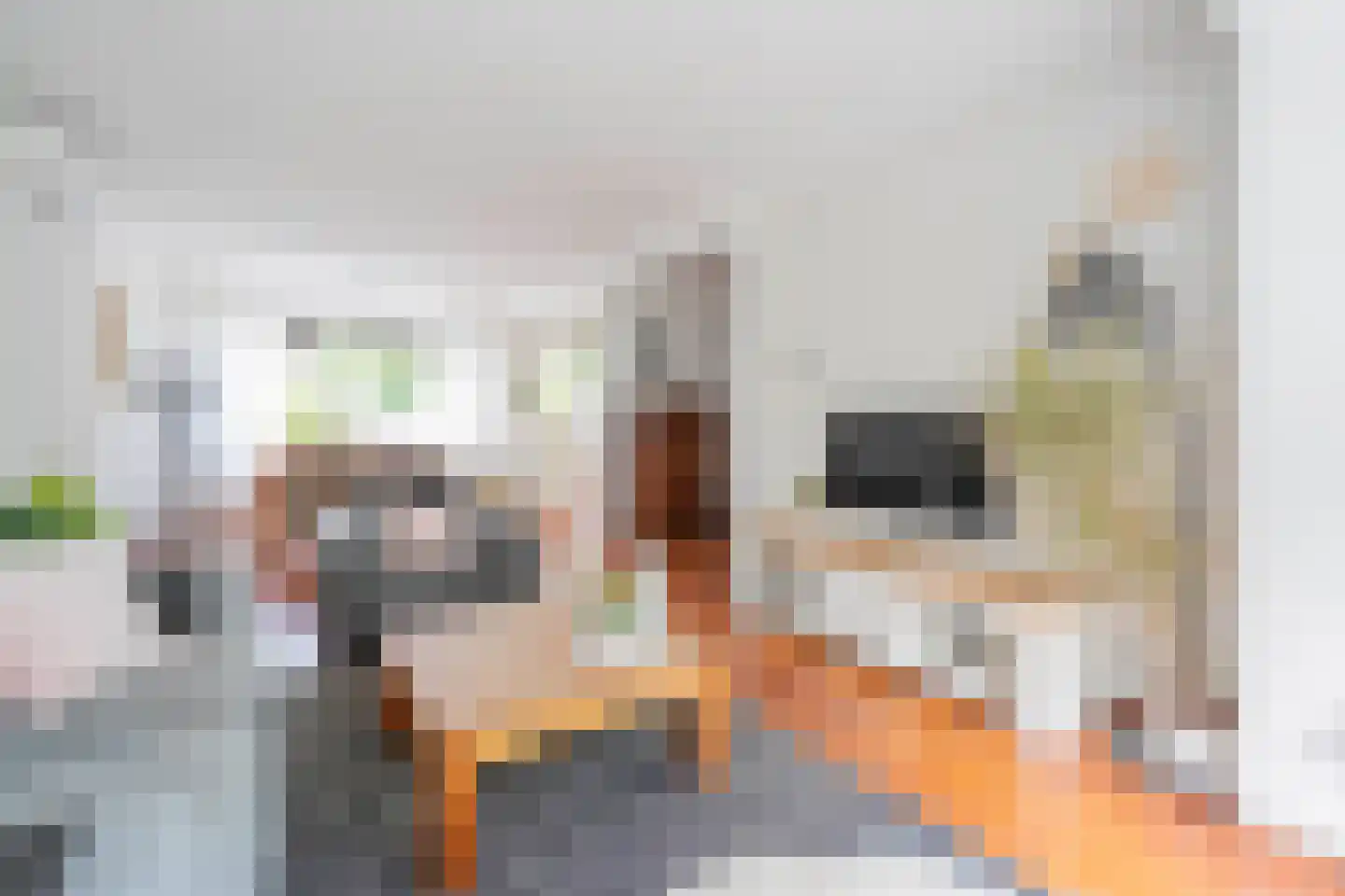Kogerhout 30 Koog aan de Zaan thumbnail 20