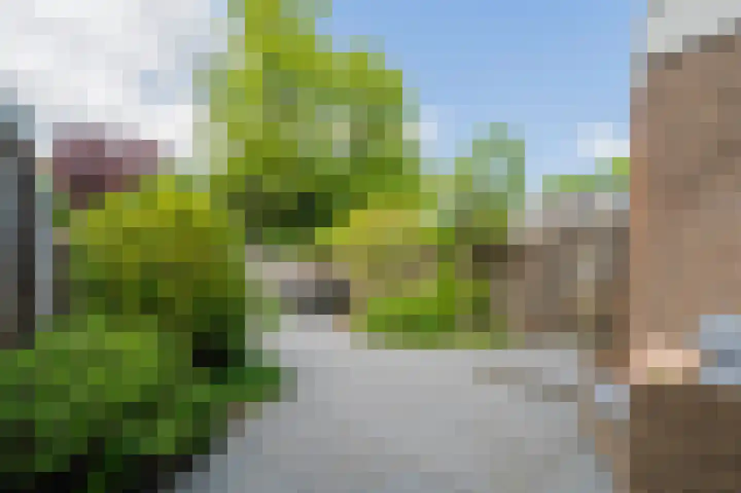 Kogerhout 30 Koog aan de Zaan thumbnail 53