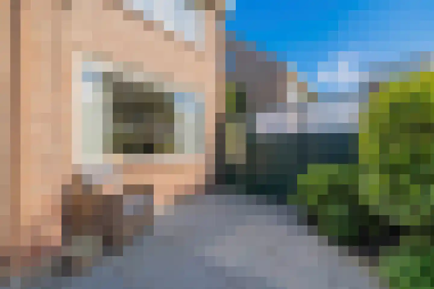 Kogerhout 30 Koog aan de Zaan thumbnail 54