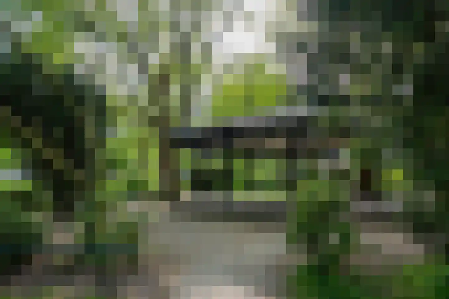 Kogerhout 30 Koog aan de Zaan thumbnail 65
