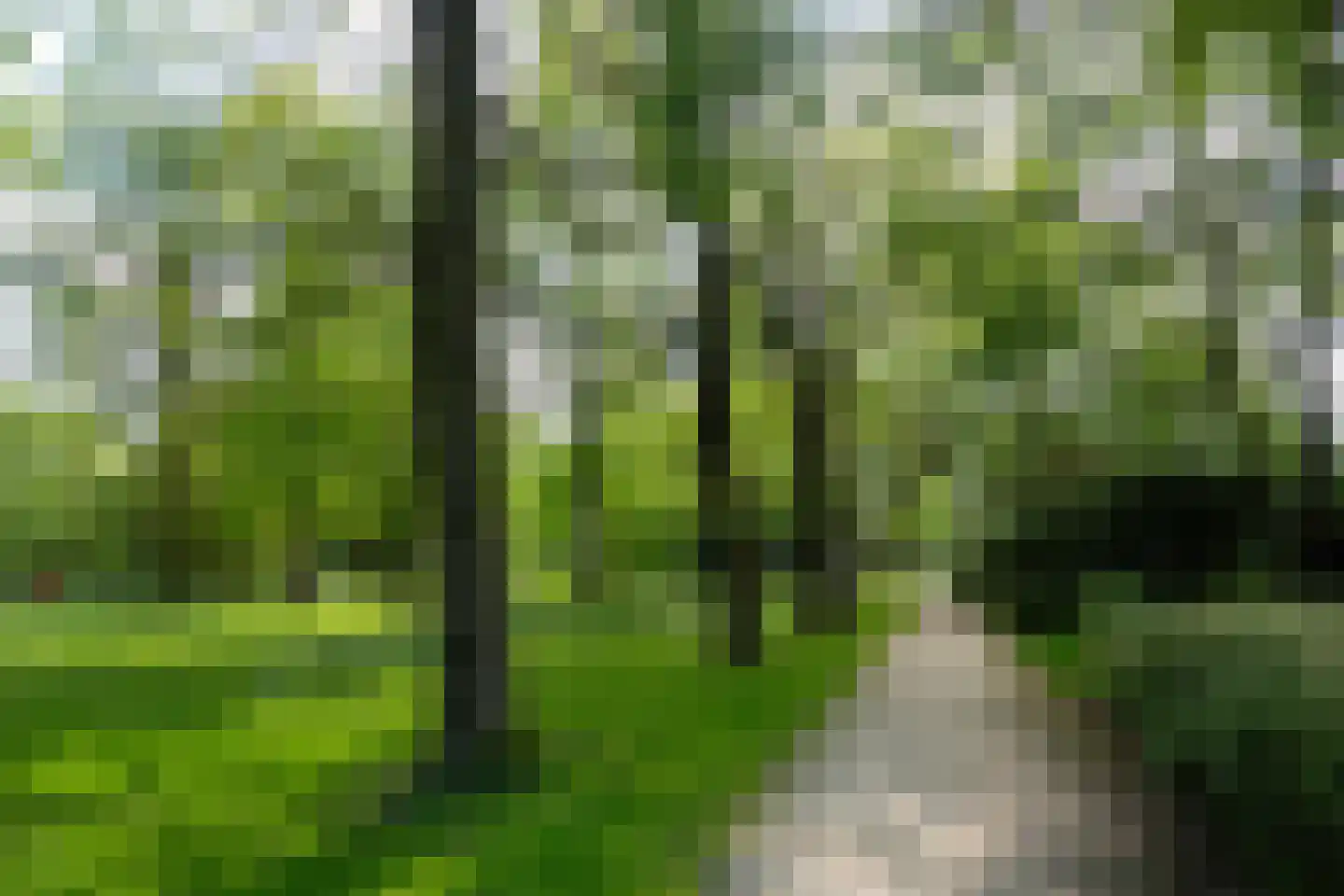 Kogerhout 30 Koog aan de Zaan thumbnail 66
