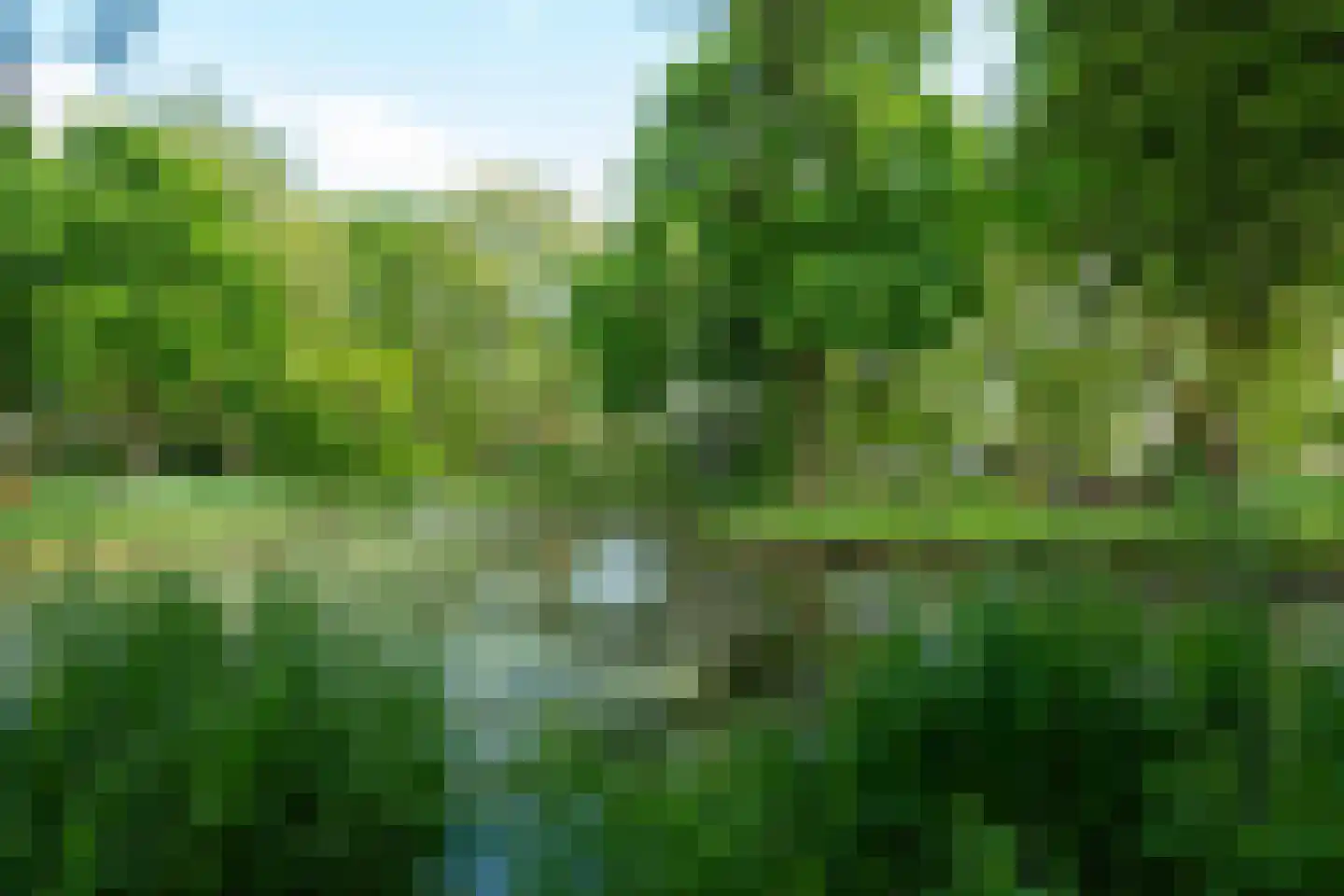 Kogerhout 30 Koog aan de Zaan thumbnail 67