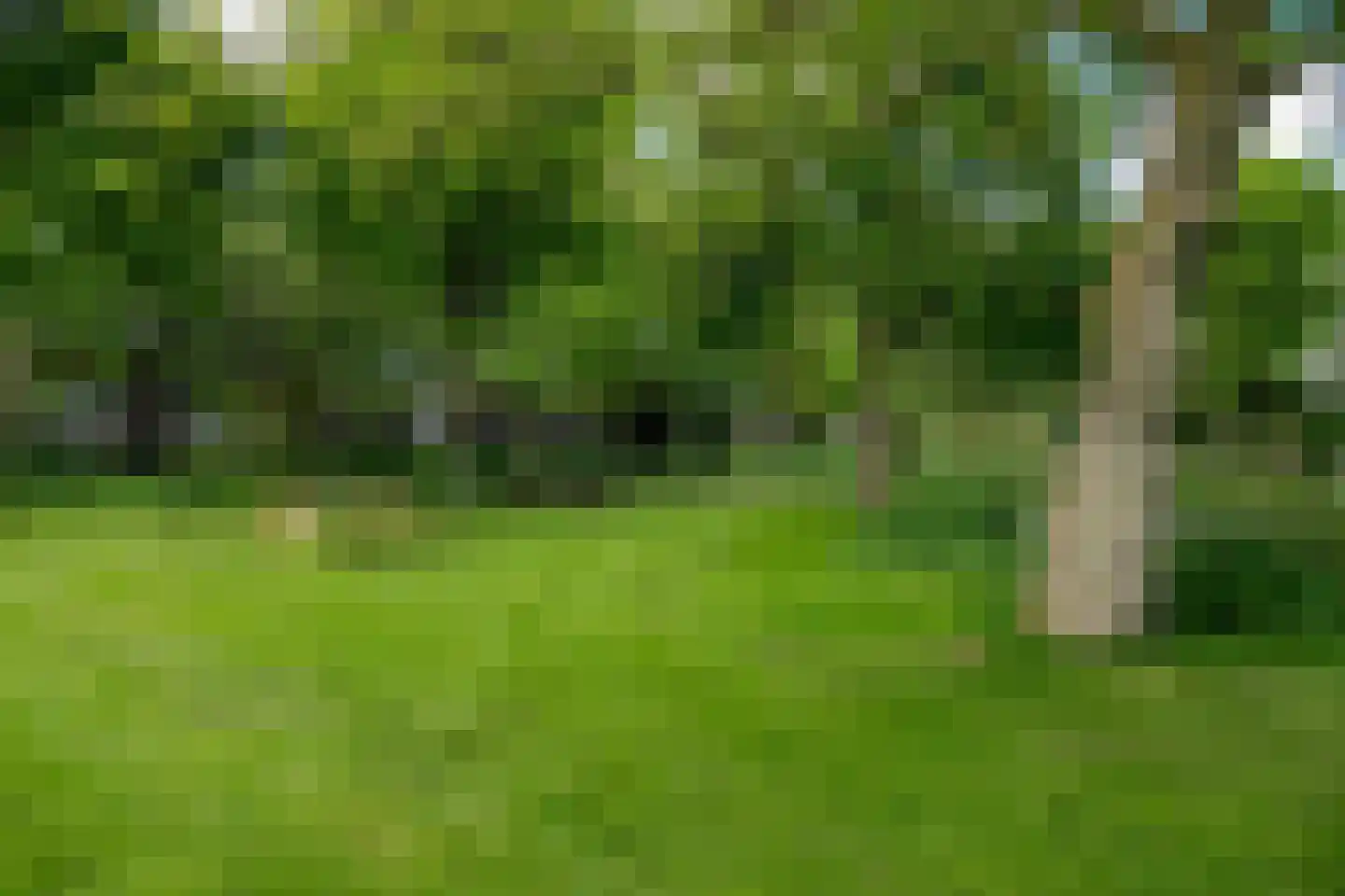 Kogerhout 30 Koog aan de Zaan thumbnail 68