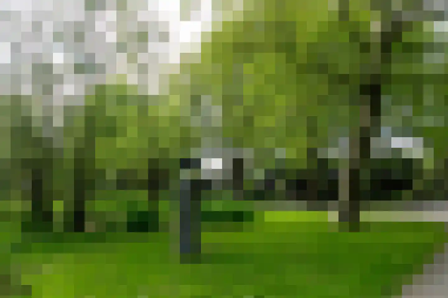 Kogerhout 30 Koog aan de Zaan thumbnail 69
