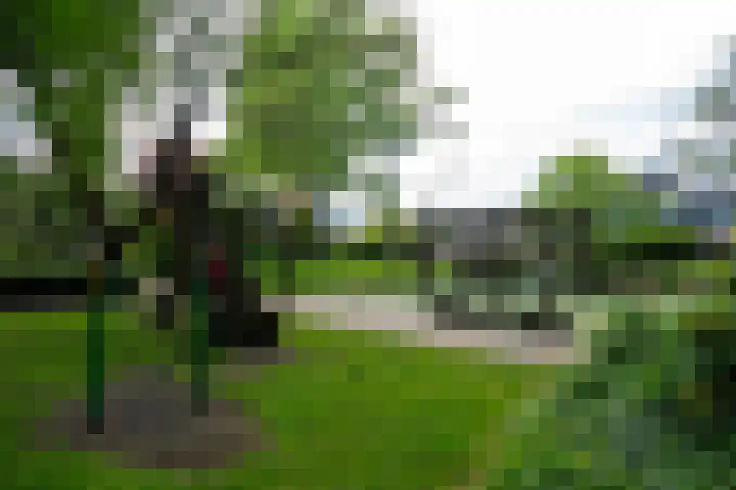 Kogerhout 30 Koog aan de Zaan thumbnail 71
