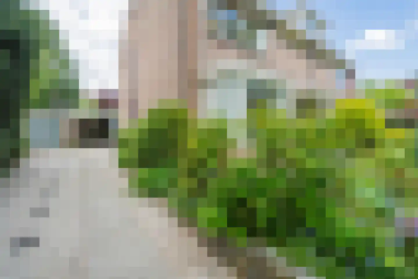 Kogerhout 30 Koog aan de Zaan thumbnail 8