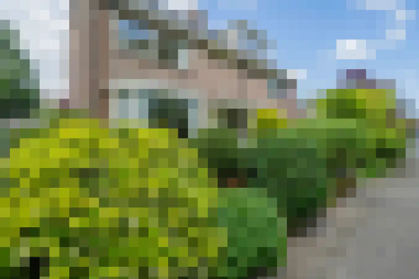 Kogerhout 30 Koog aan de Zaan thumbnail 9