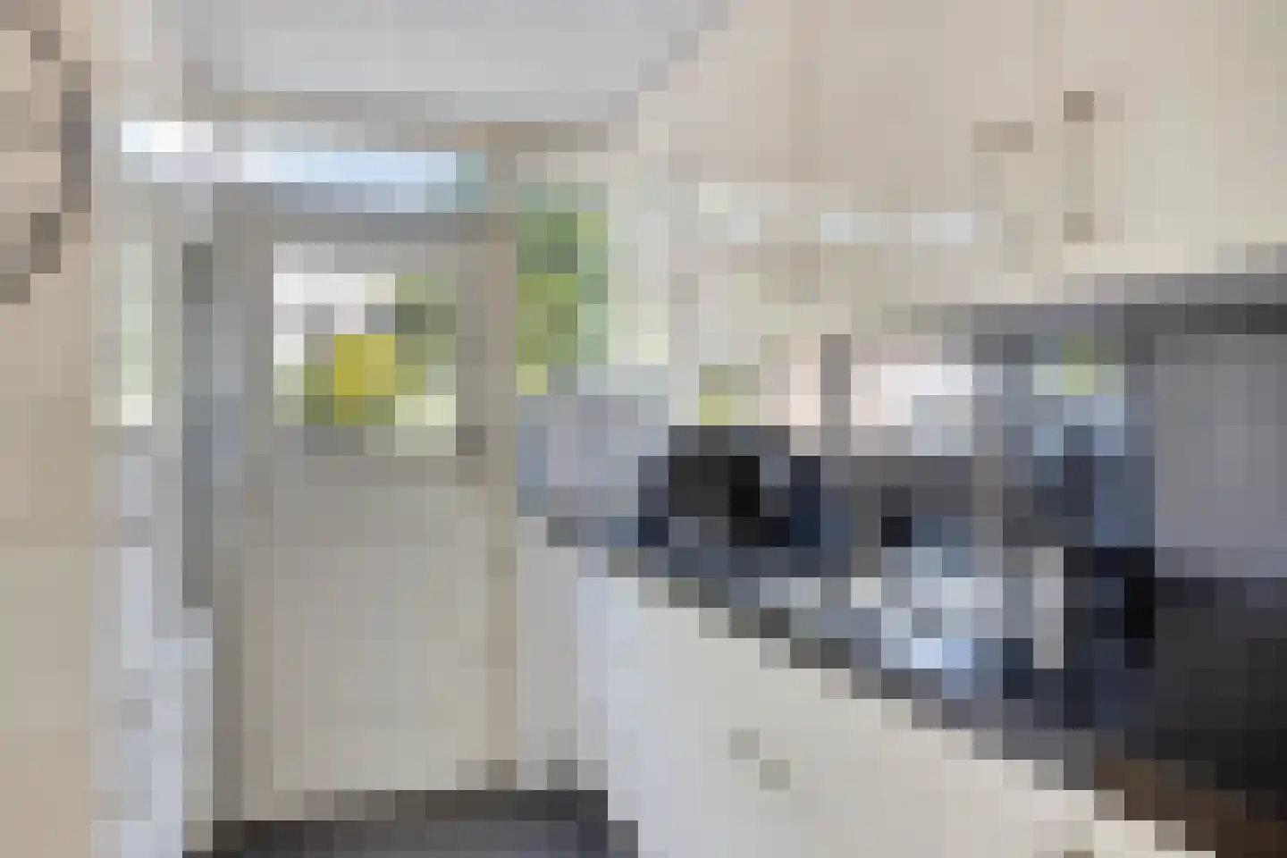 Kogerhout 34 Koog aan de Zaan thumbnail 15