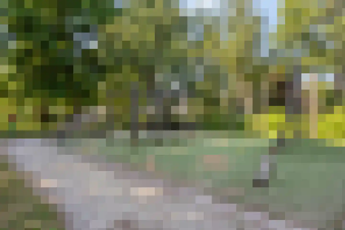 Kogerhout 34 Koog aan de Zaan thumbnail 44