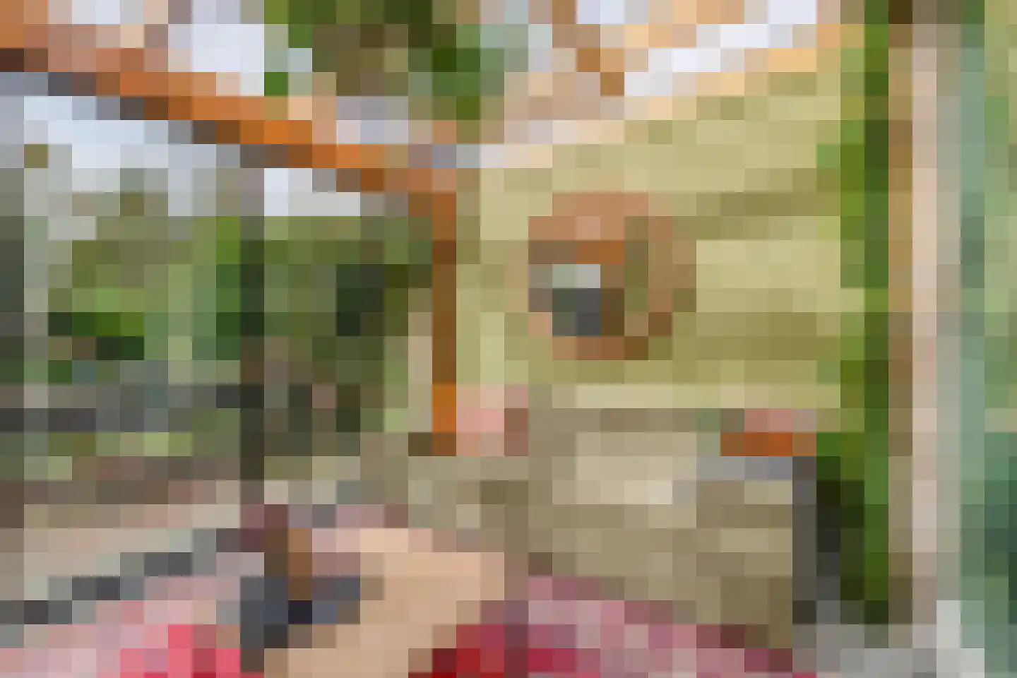 Kogerlaan 43 Schagen thumbnail 21
