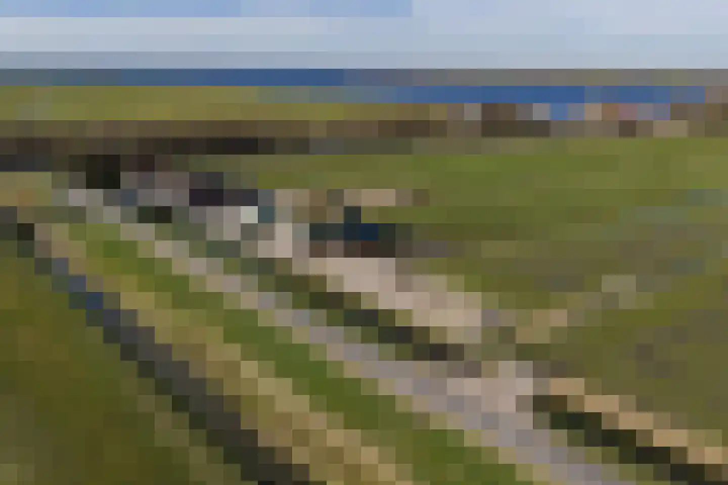 Kogerpolder 24 Starnmeer thumbnail 17