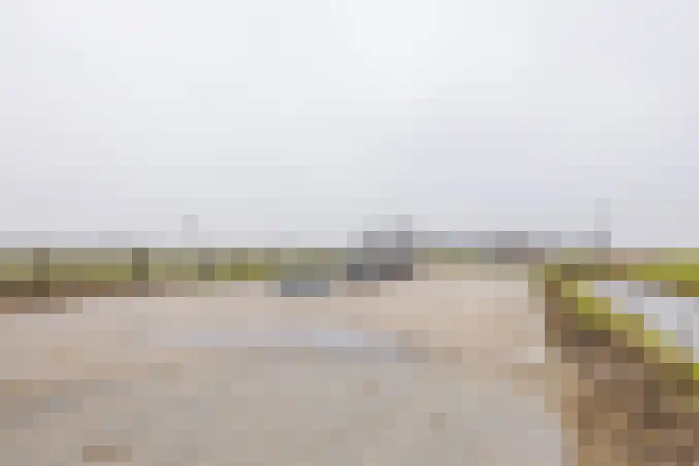 Kogerpolder 24 Starnmeer thumbnail 21