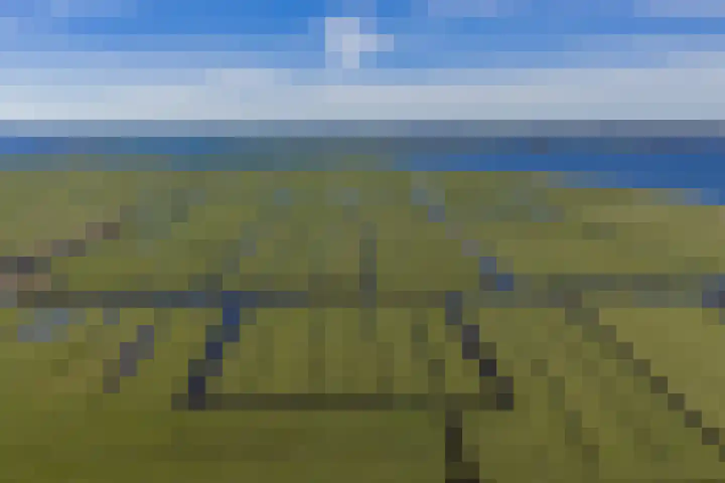 Kogerpolder 24 Starnmeer thumbnail 24