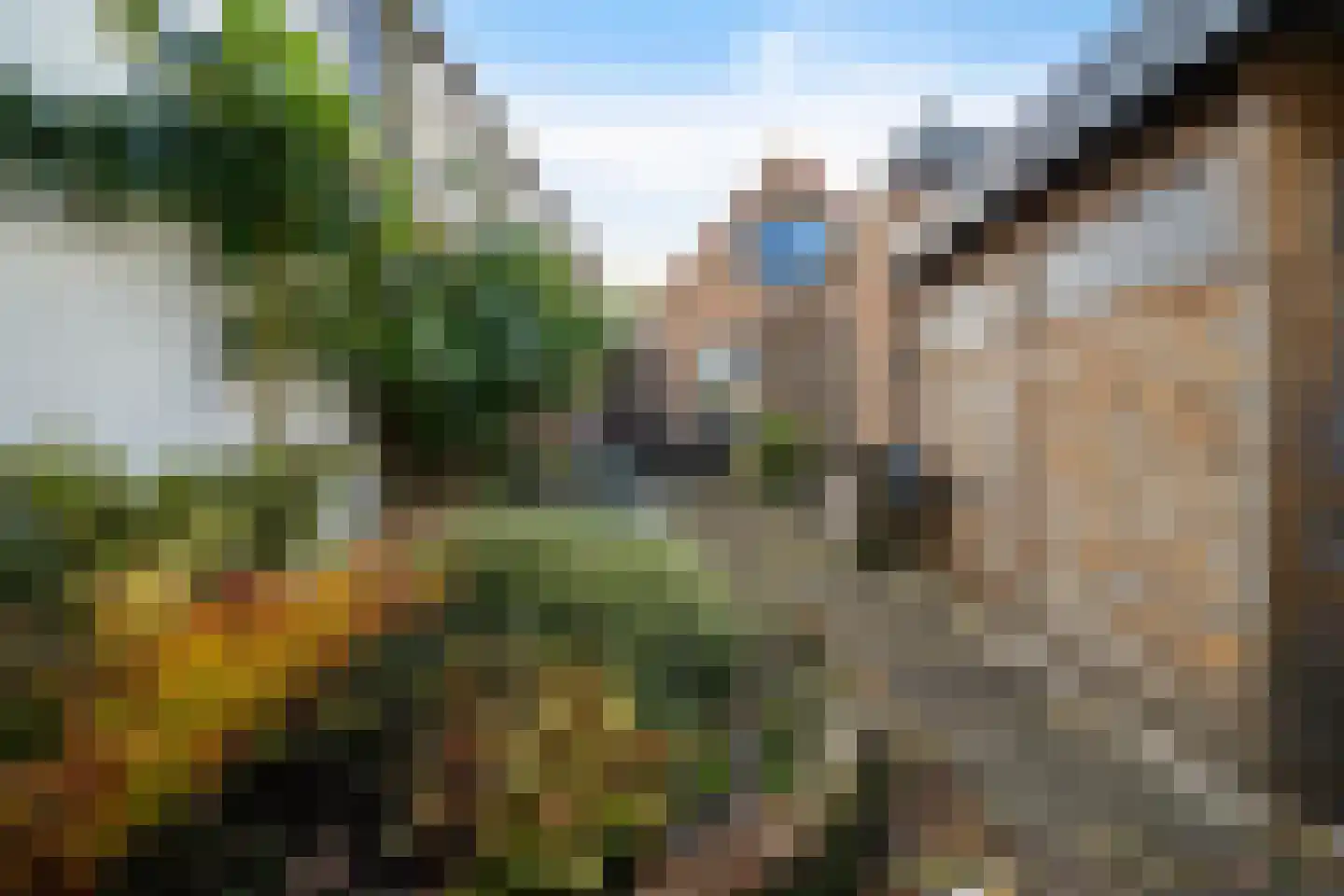 Kogerstraat 50 Den Burg thumbnail 12
