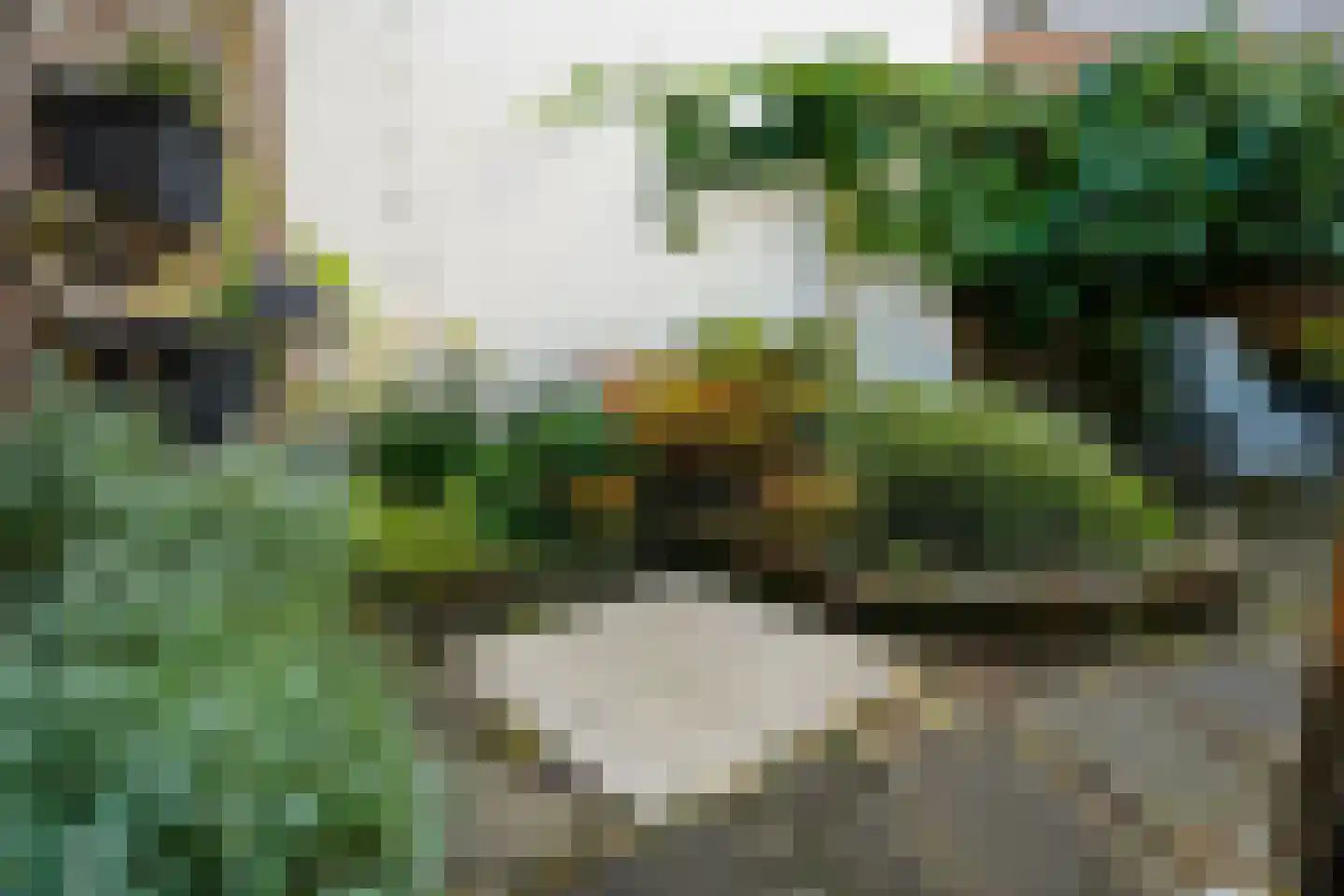 Kogerstraat 50 Den Burg thumbnail 14