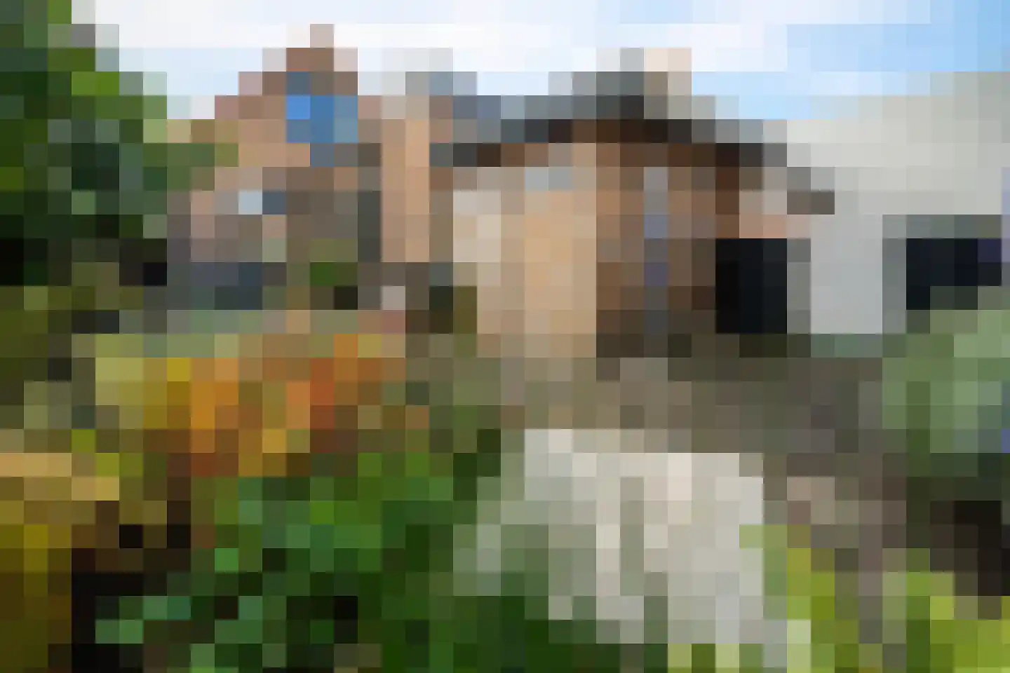 Kogerstraat 50 Den Burg thumbnail 15