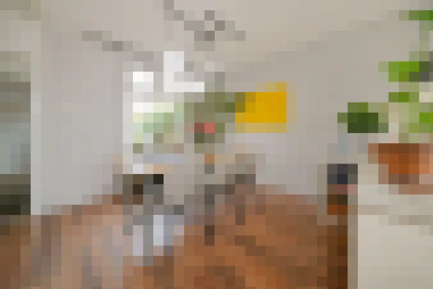 Kogerstraat 50 Den Burg thumbnail 6