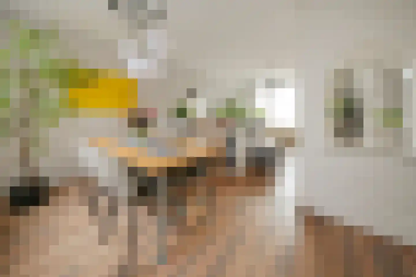 Kogerstraat 50 Den Burg thumbnail 8