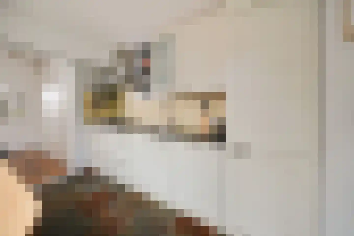Kogerstraat 50 Den Burg thumbnail 9