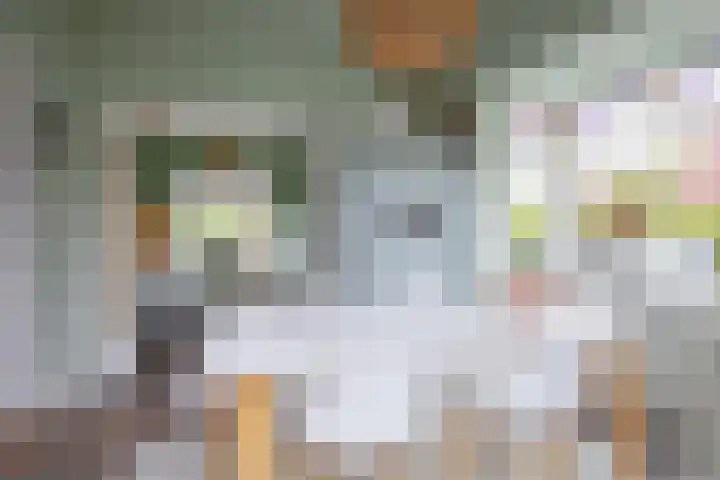 Kogerstraat 63 Den Burg thumbnail 15