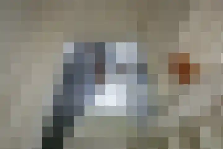 Kogerstraat 63 Den Burg thumbnail 34
