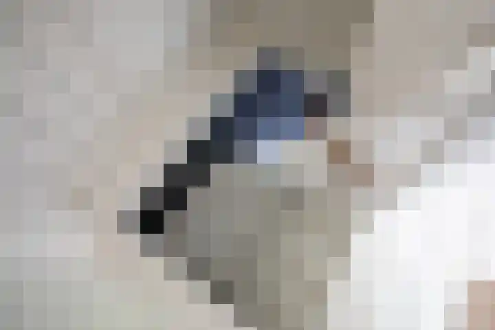 Kogerstraat 63 Den Burg thumbnail 35