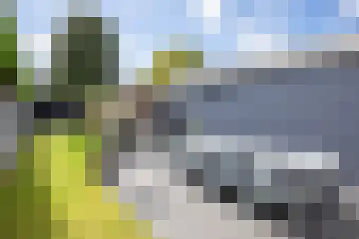 Kogerstraat 63 Den Burg thumbnail 4