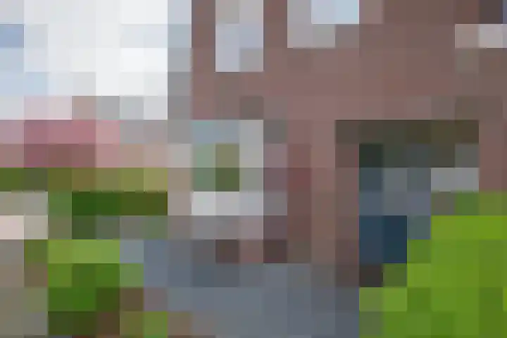 Kogerstraat 63 Den Burg thumbnail 5