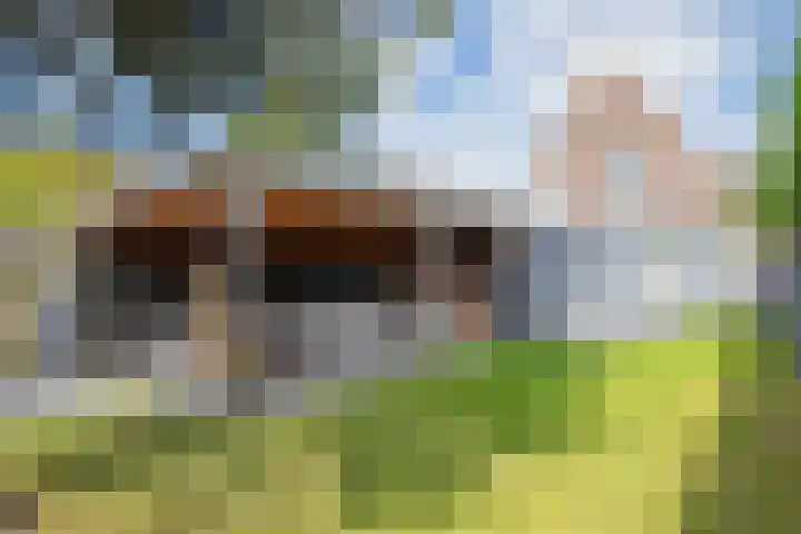 Kogerstraat 63 Den Burg thumbnail 53