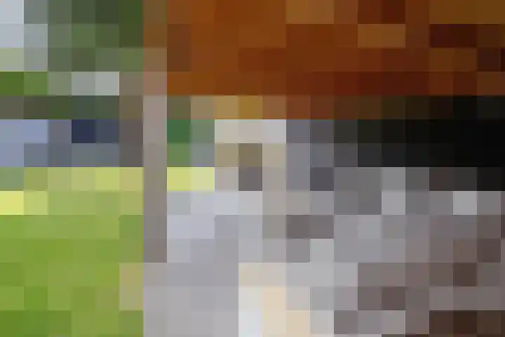 Kogerstraat 63 Den Burg thumbnail 56