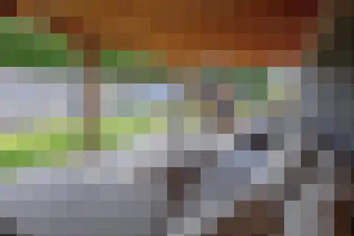 Kogerstraat 63 Den Burg thumbnail 57