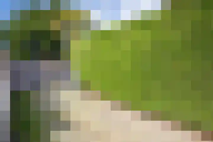 Kogerstraat 63 Den Burg thumbnail 59